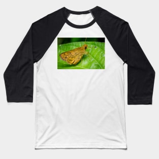 Unique and organic photo of a yellow skipper (butterfly) Baseball T-Shirt